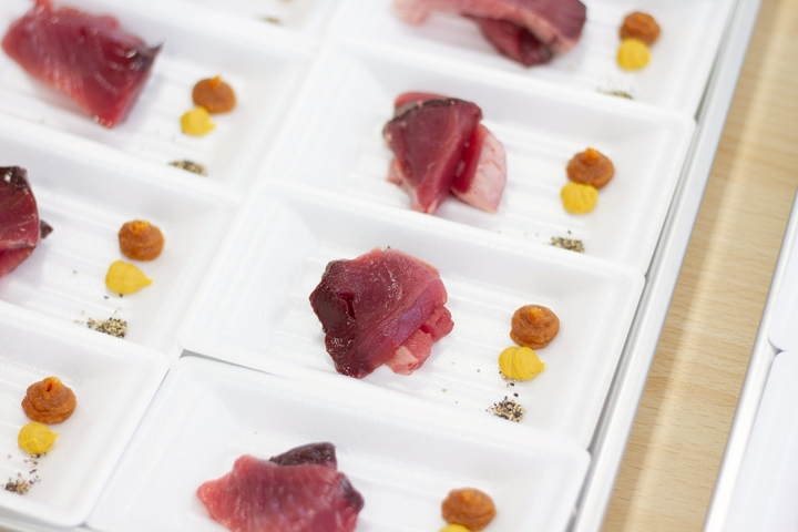 かつお食文化講演会にて、講演を実施しました